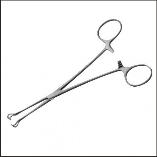 > </div>
<div class=